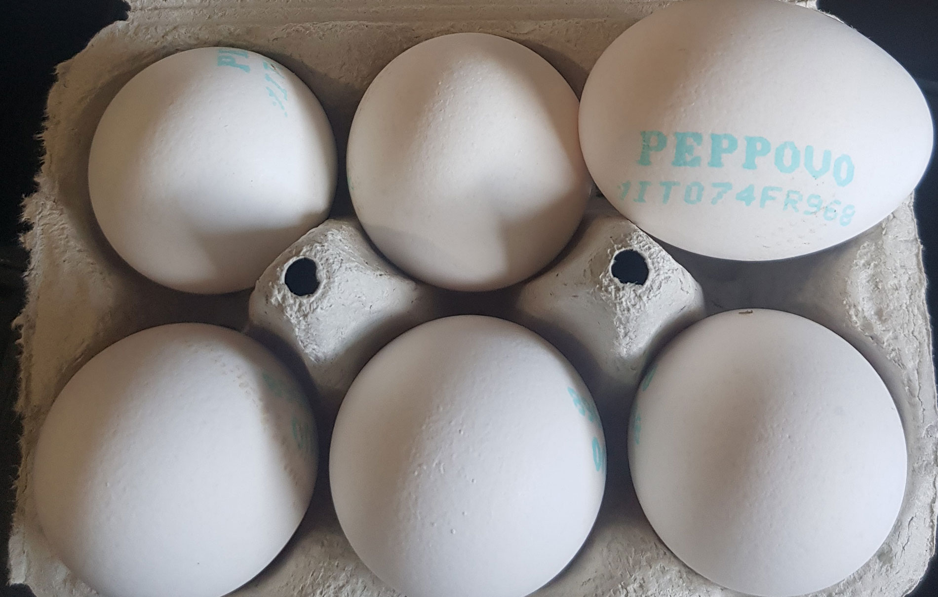 peppovo2022_aperto